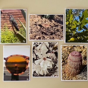 Tarjetas de felicitación con foto: juego de 6, variadas, artísticas, naturaleza, flores, paisajes, en blanco, agradecimiento, personalizadas, hechas a mano, boda, invitación, cumpleaños