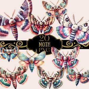 Motte Aquarell Clipart PNG - Transparenter Hintergrund, Künstlerisches Design für Basteln, Einladungen - Kommerzielle Nutzung Download