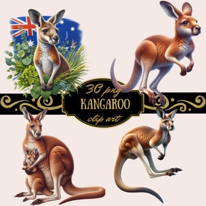 Ensemble de cliparts PNG Kangourou - Motifs d'animaux sauvages australiens haute résolution pour l'artisanat, le scrapbooking, la décoration de chambre d'enfant - Téléchargement instantané à usage commercial