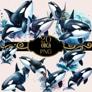 Puede incluir: Un conjunto de 20 ilustraciones de orcas, también conocidas como ballenas asesinas, en acuarela, en varias poses. Las orcas están representadas en tonos de negro, blanco y gris, con salpicaduras de pintura acuarela azul y verde. Las ilustraciones son perfectas para agregar un toque de vida marina a tus diseños.