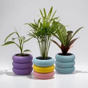 Jardinière à trois anneaux | Pot à trois anneaux | Pot d'anneaux colorés | Pot de fleur minimaliste à trois anneaux | Pot à trois anneaux imprimé en 3D | Pot à bagues