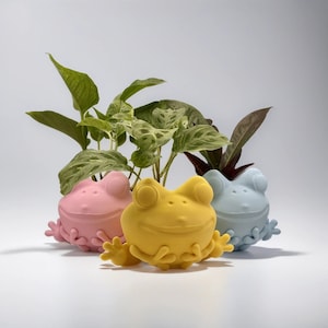 Frog Planter | Frog Pot | Kids Frog Planter | Cute Frog Planter | 3D Printed Frog Pot | Colorful Frog Planter | Amphibian Themed Pot - USA