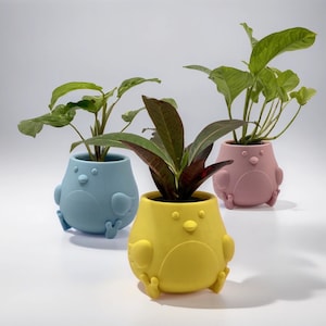 Chicken Planter | Chicken Pot | Kids Chicken Planter | Cute Chicken Planter | 3D Printed Chicken Pot | Chicken Planter Child - USA