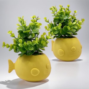 Fish Planter | Fish Pot | Unique Fish Flower Pot | Fish Plant Pot | Fish-Themed Home Decor | Cute Animal Pot | Aquatic Pot - USA