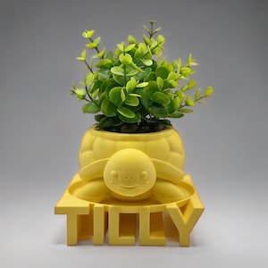 Custom Sea Turtle Planter | Custom Sea Turtle Pot | Personalized Sea Turtle Planter | Custom 3D Turtle Flowerpot | Turtle Home Decor - CAN