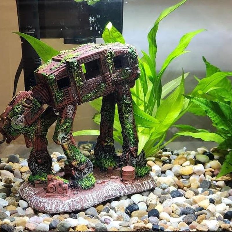 Picture Idea: Small Decoration Tank