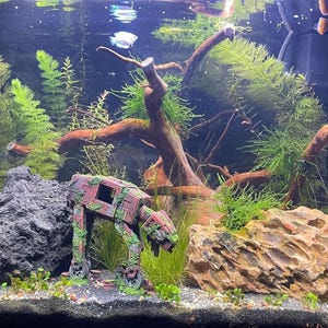 K&ouml;nnte beinhalten: Eine Aquarienszene mit einer Vielzahl von Wasserpflanzen, Treibholz und dekorativen Steinen. Ein detailliertes, verwittertes AT-AT-Walker-Modell ist ein Blickfang. Das Becken ist mit Wasser gef&uuml;llt und scheint Fische zu beherbergen.