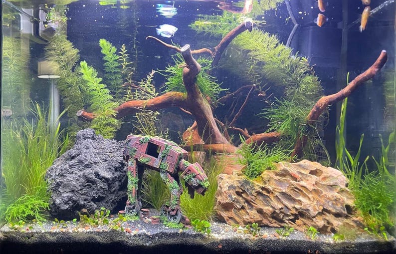 K&ouml;nnte beinhalten: Eine Aquarienszene mit einer Vielzahl von Wasserpflanzen, Treibholz und dekorativen Steinen. Ein detailliertes, verwittertes AT-AT-Walker-Modell ist ein Blickfang. Das Becken ist mit Wasser gef&uuml;llt und scheint Fische zu beherbergen.