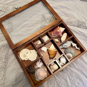 Wood Witchy Stones Organizer Storage Adjustable Rock Display Case Gem Collectibles Holder with Lid for Seashell Crystal Collection Box Brown
