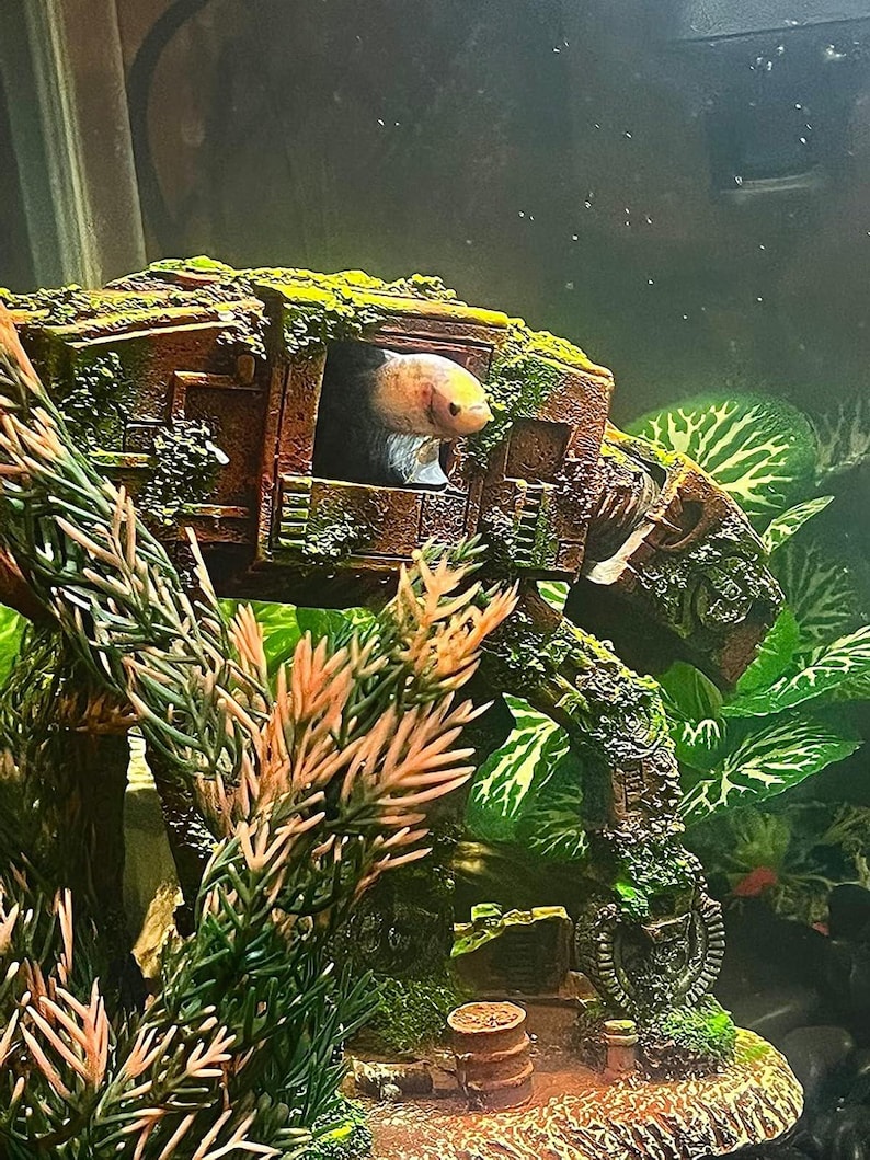K&ouml;nnte beinhalten: Ein Kampffisch in einem Aquarium, der aus einer braunen, moosbedeckten AT-AT Walker-Dekoration herausschaut. Das Aquarium enth&auml;lt auch k&uuml;nstliche Pflanzen mit gr&uuml;nem und orangefarbenem Laub.
