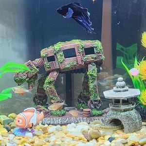 K&ouml;nnte beinhalten: Aquarienszene mit einem Betta-Fisch mit blauen und schwarzen Flossen &uuml;ber einem dekorativen AT-AT Walker. Das Aquarium enth&auml;lt bunte Pflanzen, Kies und ein kleines Ornament im Pagodenstil. Mehrere kleine Fische sind ebenfalls vorhanden.
