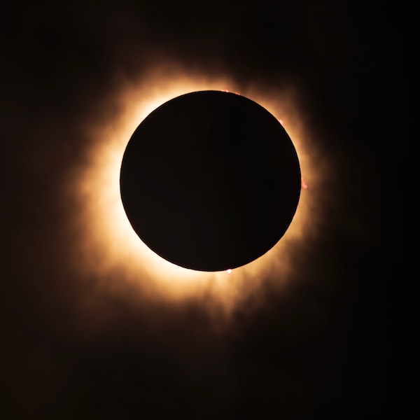 Great American Eclipse