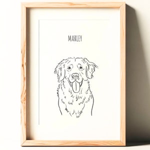 Custom Pet Portrait Outline, Digital Download Hand Drawn from photo w/ ears, body, nose, eyes, paws. Choice of background, colors, & text.