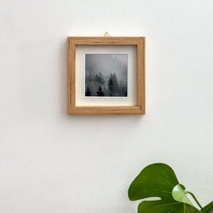 May include: Square framed art print featuring a misty forest scene. The artwork is displayed in a natural wood frame, hung against a white wall. The print showcases dark green trees shrouded in fog, creating a serene landscape.