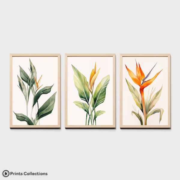 Bird of Paradise 3 Piece Set | Spring Collection | Boho Strelitzia Print | Exotic Floral Art | Modern Wall Decor