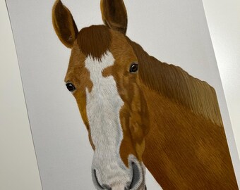Custom Horse Portrait | Pastel Drawing | Equestrian Keepsake