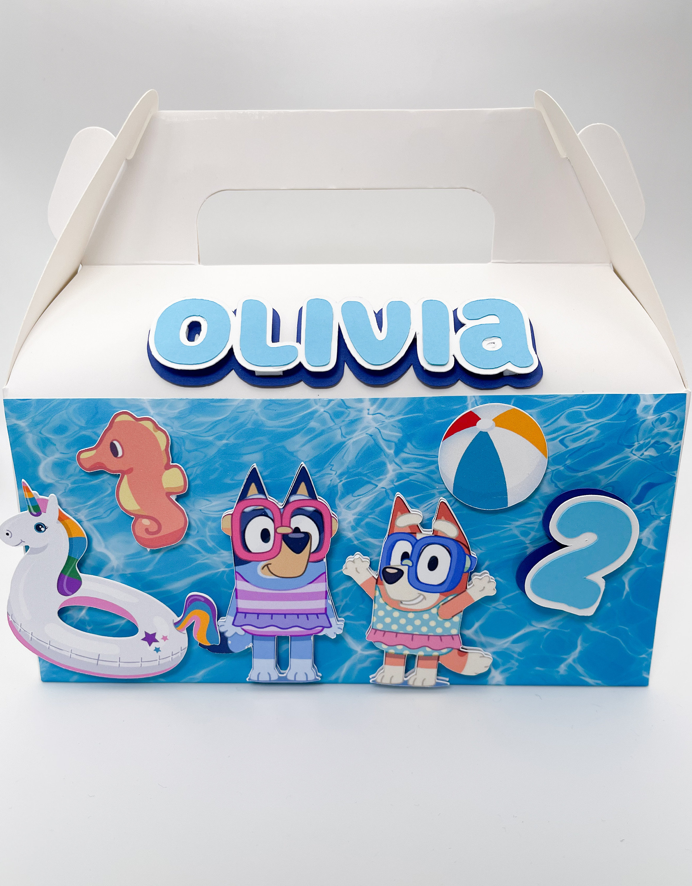 Bluey Pool Party Gable Box