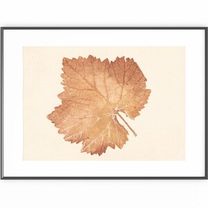 Può includere: Stampa incorniciata con una foglia pressata, che mostra venature dettagliate e una calda tonalità marrone. La foglia è posta su uno sfondo color crema, incorniciata da un semplice bordo nero. L'opera d'arte evoca la natura e lo studio botanico.