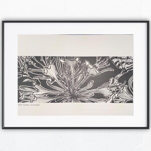 Könnte beinhalten: Schwarz-Weiß-Botanischer Druck in einem schwarzen Rahmen. Das Kunstwerk zeigt eine detaillierte Illustration einer Pflanze mit komplizierten Linien und Schattierungen. Der Druck ist auf einem weißen Hintergrund montiert, mit dem Text "TIDE FLORA, BOTANICAL" unten.