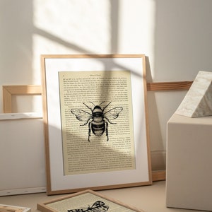 Könnte beinhalten: Ein gerahmter Druck einer alten Buchseite mit einer Schwarzweißillustration einer Biene. Der Text auf der Seite ist in deutscher Sprache und lautet "Eduard Paul".