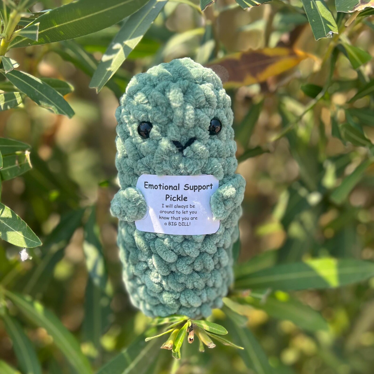 Crochet Emotional Support Pickle - Etsy