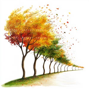 10 JPG e 10 PNG acquerello alberi autunnali clipart digitali, download istantaneo di arte, clipart di foglie autunnali, diari spazzatura, poster di social media