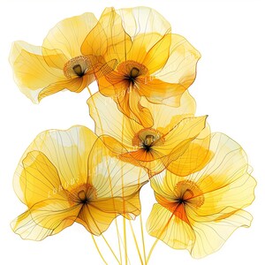 10 watercolor california poppies printable flowers clipart, flora print, digital download, paper craft, floral disigns printable, botanical