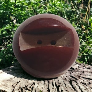 Puede incluir: Un botón grande, redondo, de color marrón oscuro con dos pequeños agujeros y un diseño tallado. El botón se encuentra sobre un fondo de follaje verde y un poste de madera desgastada.