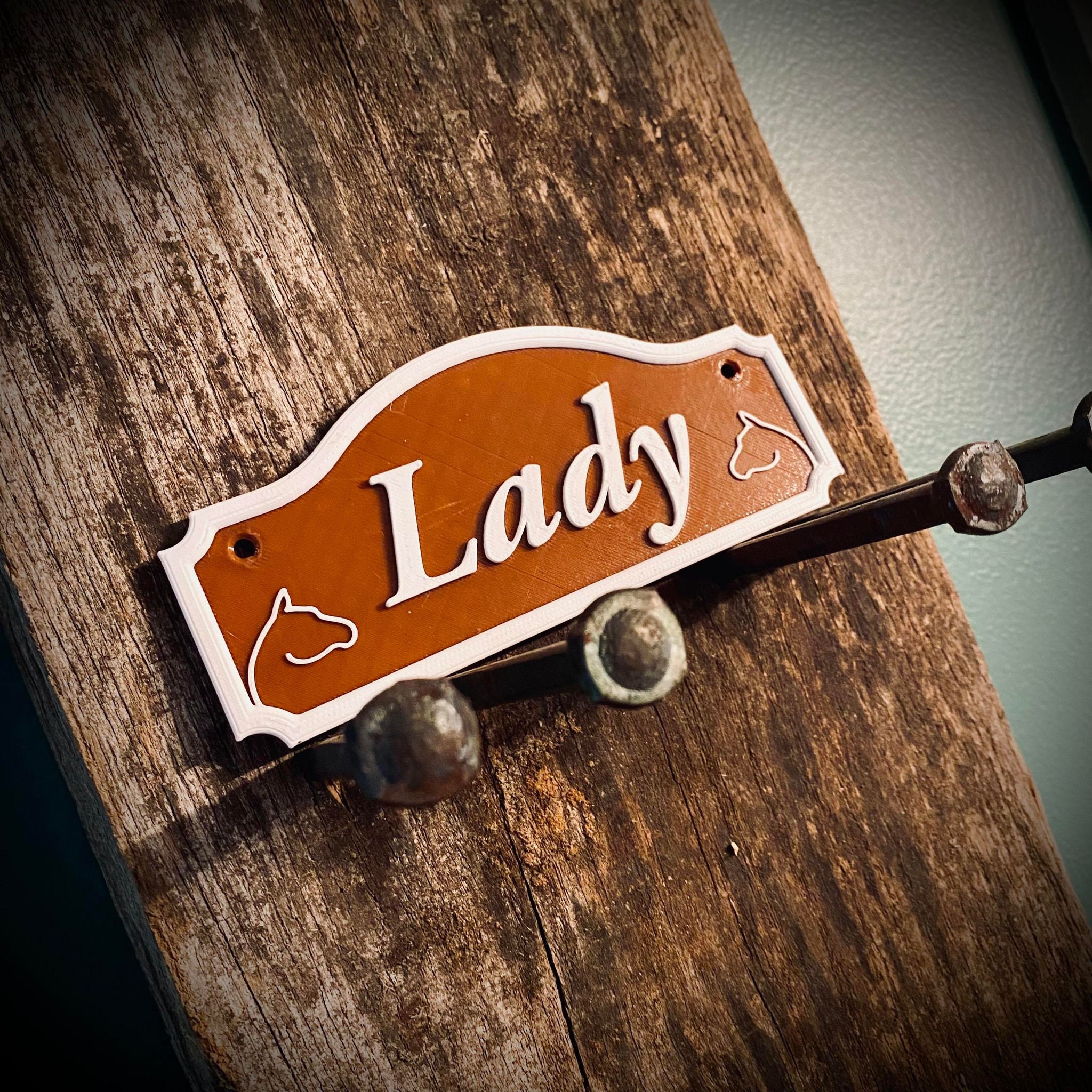 Custom Horse Name Plate: Barn & Stall Sign
