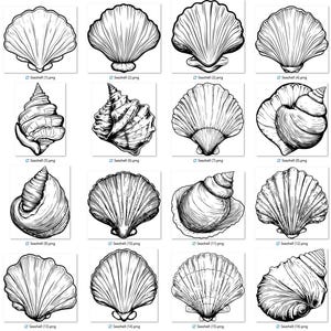 May include: A collection of sixteen black and white line art illustrations of various seashells. The grid displays different species of fan-shaped scallops and spiral-shaped conch shells, each rendered with detailed hatching and contour lines.