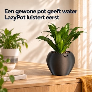 Op de afbeelding: Een zwarte, ronde plantenpot met een groene bladplant, voorzien van een kleine tuit aan de rand. De tekst erboven luidt: Een gewone pot geeft water, LazyPot luistert eerst. De pot staat op een houten ondergrond met een andere plant.