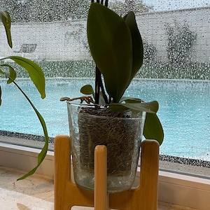 Topfheber aus Paulownia-Massivholz | Handgefertigte Blumentopfstütze | Erhältlich in 5 Größen | Nachhaltige Dekoration für Pflanzen