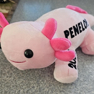 Axolotl Plush toy, Personalized, stuffed animal, cute and soft Axolotl