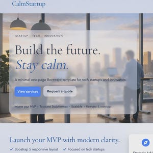 以下が含まれることがあります： CalmStartupのウェブサイトデザイン。テキスト「Build the future. Stay calm.」と都市景観の背景が特徴です。モダンでクリーンな美学で、テクノロジー系スタートアップのサービスを宣伝しています。人々はスタンディングデスクでラップトップを使用しています。