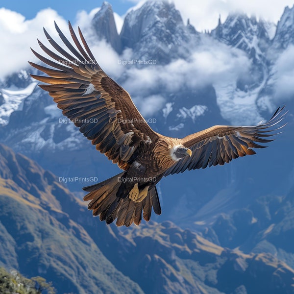 Condor Flight, Andean Wings, Soaring Condor, Mountain Raptor, Sky Predator, Condor Majesty, Wingspan Wonder, Aerial Condor, Andes Bird