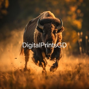 Europejski Żubr Wydruk - Majestic Wildlife Photography, Duży Roślinożerca Ścienny Sztuka, Idealny Dla Miłośników Natury i Zwierząt