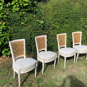 May include: Four antique white chairs with woven backs and cushioned seats are arranged on a grassy lawn. The chairs have a classic design, with curved legs and a decorative back pattern. The background features a green hedge.