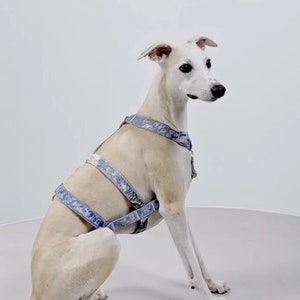 Velvet dog anti escape harness, triple harness, safe harness, dog harness, greyhound harness, silver dog harness, dog accessories, dog vest