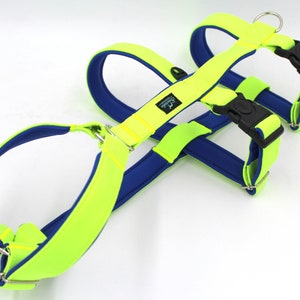 Lime - blue dog anti escape harness, triple harness, safe harness, dog harness, greyhound harness, boy dog harness, dog accessories, vest