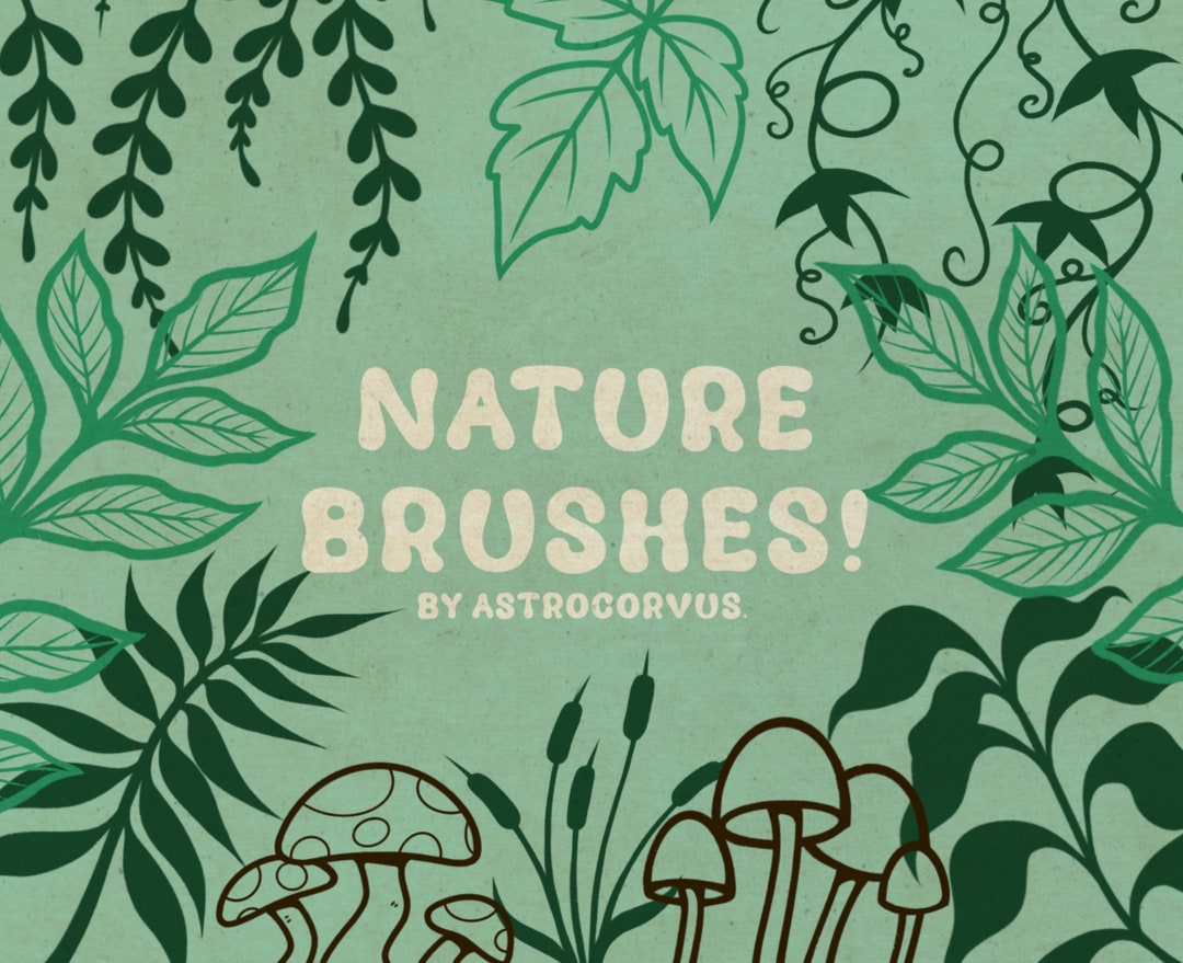 Nature Brushes + Stamps for Procreate! | Botanical Procreate Brushes ...