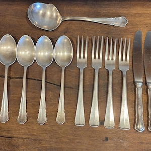 Può includere: Un set di posate, tra cui cucchiai, forchette e coltelli, tutti in argento lucido. Le posate sono disposte su una superficie di legno.