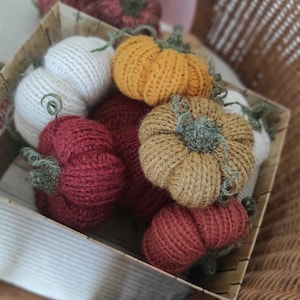 May include: A collection of small, hand-knitted pumpkins in various colors including white, mustard yellow, dark red, and muted brown. Each pumpkin features a textured, ribbed knit surface and a small, green crocheted stem with a curly vine.