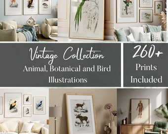Vintage Nature Sketch Gallery Wall Set, Antique Botanical Prints, Moody Cottagecore Wall Art, Rustic Farmhouse Decor, Neutral Pencil Drawing