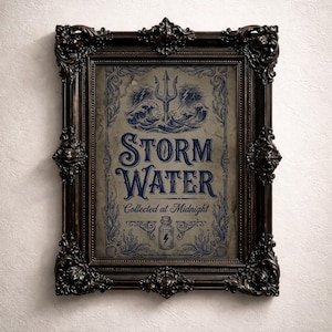 Sea Witch Apothecary Print, Storm Water Label Art, Practical Magic Decor, Witchy Kitchen Poster, Dark Coastal Typography, Grimoire Page 190