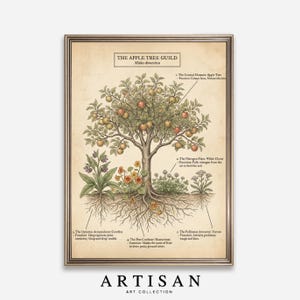 May include: A framed botanical print titled "The Apple Tree Guild" featuring an illustration of an apple tree with roots, flowers, and text detailing its elements and functions. The print has a vintage aesthetic with a gold frame.