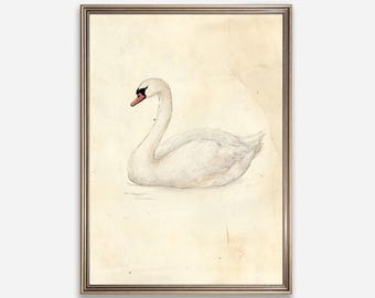 Vintage Swan Sketch Print, White Swan Drawing, Nursery Wall Art, Farmhouse Decor, Animal Illustration, Minimalist Wall Art, Digital Art, 141