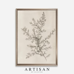 Olive Branch Print, Floral Wall Print, Flowers Print, Olive Branch Art, Sketch Print, Botanical Print, Farmhouse Decor, Digital Art, C53