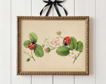 Vintage Marienkäfer Wand Kunst Cottagecore Erdbeere Digital Download Bug Kinderzimmer druckbare Marienkäfer Kinderzimmer Kunst