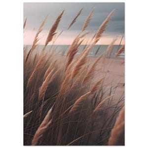 Straws - Premium Matte Paper Poster