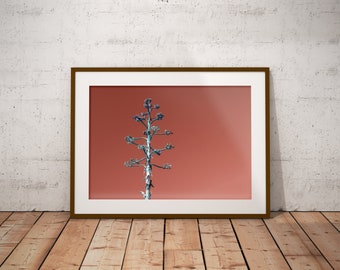 Photo art wall decor, printable wall art, abstract terracotta floral photography, poster DIY print, digital download